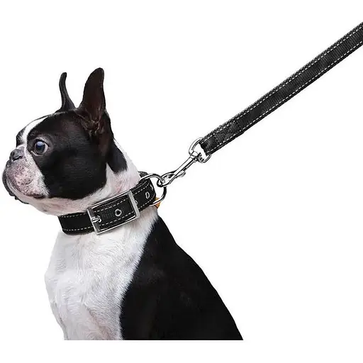 Повідець Dog Extreme з нейлону подвійний (ширина 20мм, довжина 122см), чорний - фото 4