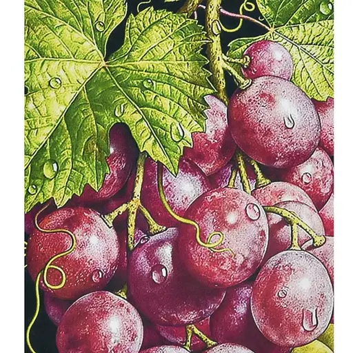 Алмазная мозаика Гроздья богатства HEG87076 30х40 см