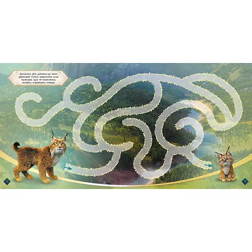 Лабиринты с наклейками «Мавка Загадочный мир» 1249019 - фото 4