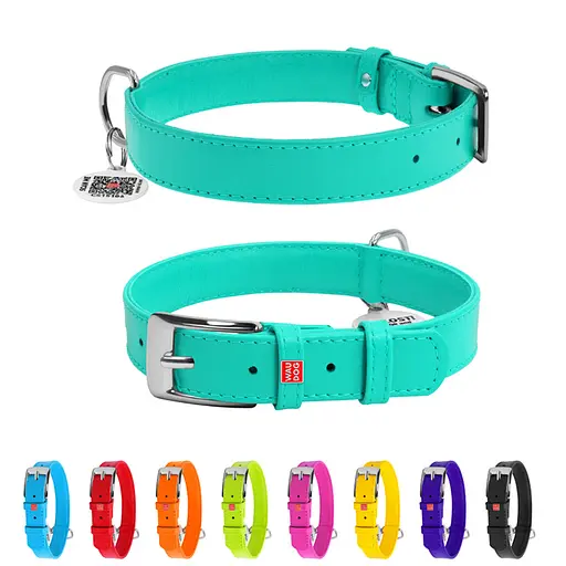 Нашийник для собак шкіряний Waudog Glamour з QR-паспортом без прикрас L Ш 25 мм Д 38-49 см ментоловий - фото 2