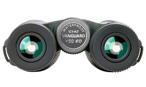 Бинокль Vanguard VEO ED 10x42 WP (VEO ED 1042) (DAS301026) - фото 11