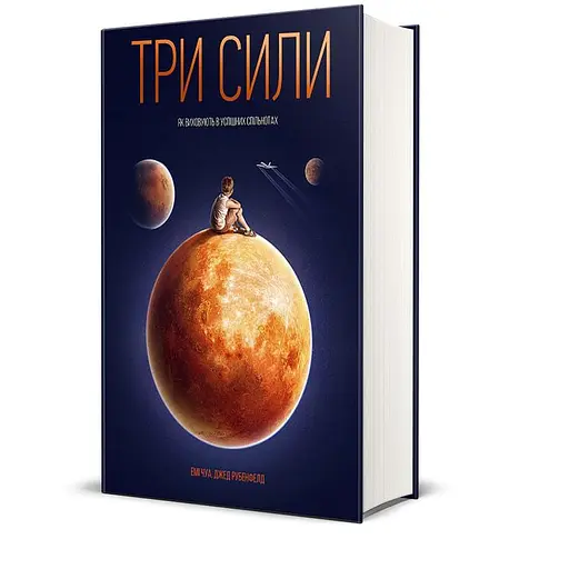 Три силы. Как воспитывают в успешных сообществах – Эми Чуа - фото 4