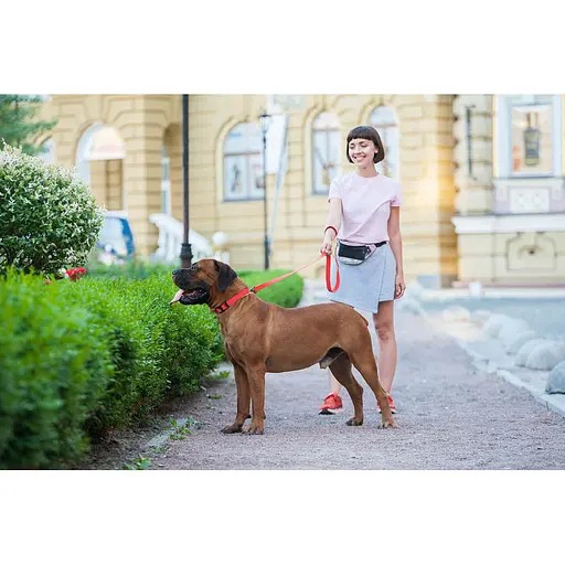 Водостойкий поводок для собак Waudog Waterproof L-XXL Ш 25 мм Д 183 см красный - фото 8