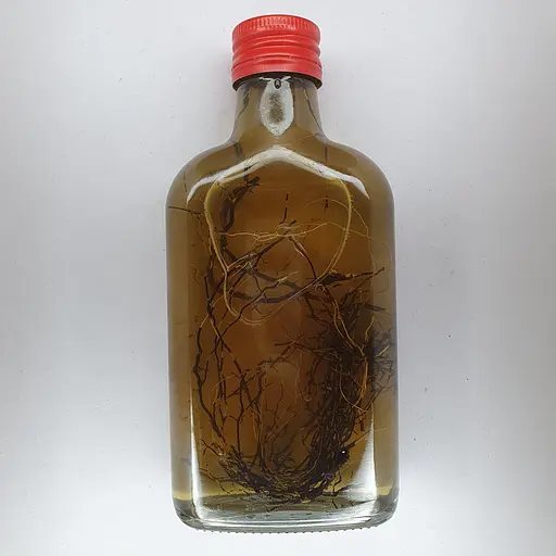 Настоянка на корінні левзеї 200 мл - фото 2