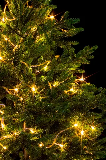 Гірлянда світлодіодна нитка 7 метрів 100 лампочок тепле світло Laplandia новорічна на ялинку від мережі прозорий провід (ww.01.5Т.100-) - фото 3