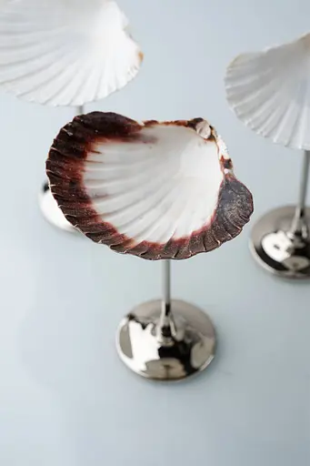 Бокал Shell Glass 90 мл - фото 4