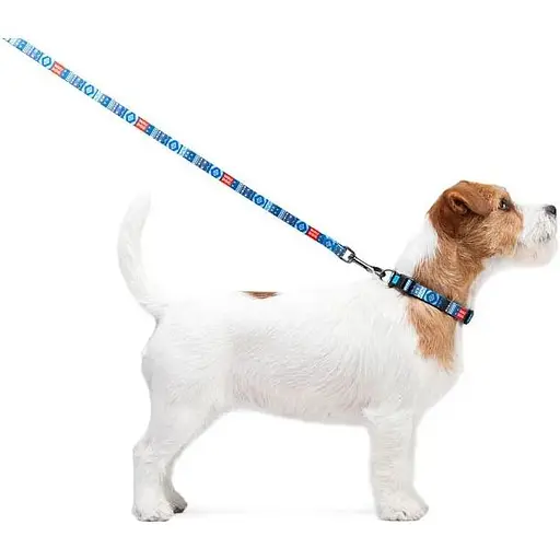 Повідець для собак Waudog Nylon нейлоновий, малюнок "Етно синій" - фото 3