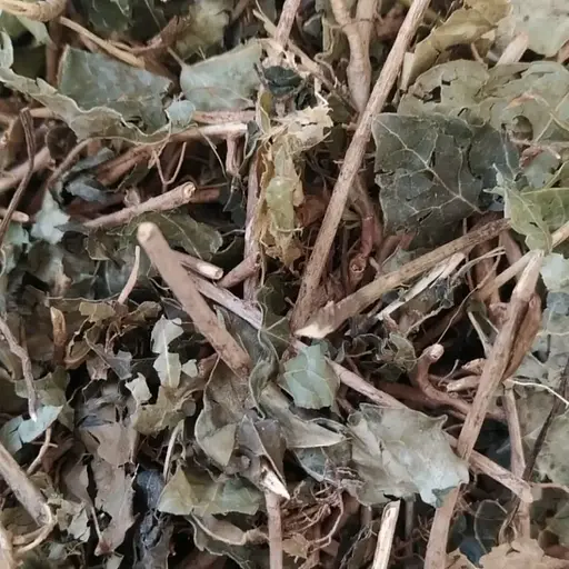 100 г плющ звичайний трава сушена - свіжий урожай