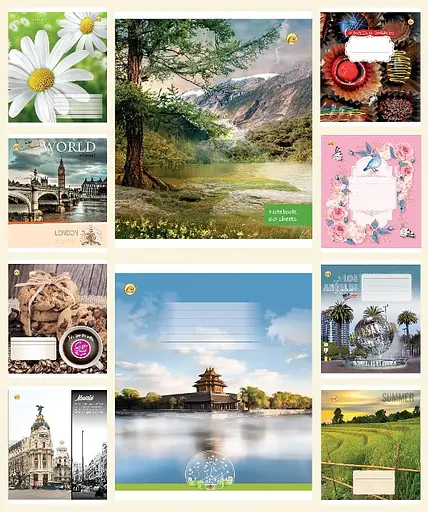 Зошити учнівські 60 аркушів лінія Тверда 32601 МІКС, 10 шт. в упаковці