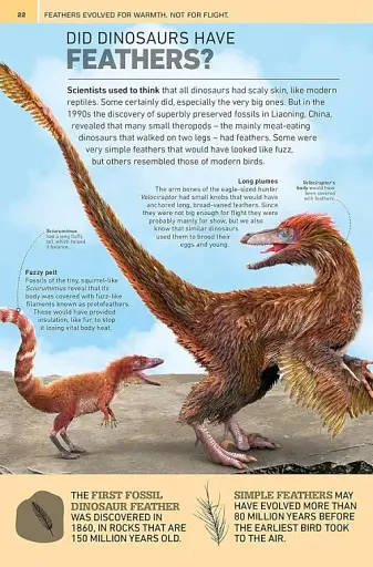 1000 Amazing Dinosaur Facts - фото 2