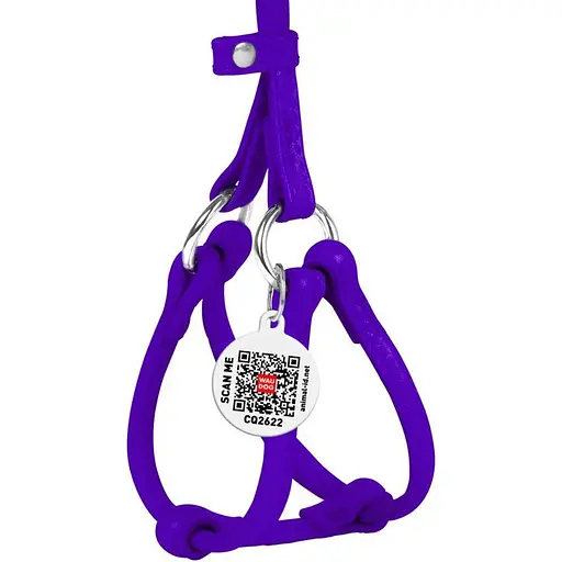 Шлея з повідцем для собак Waudog Glamour шкіряна з QR паспортом, кругла, фіолетовий - фото 2