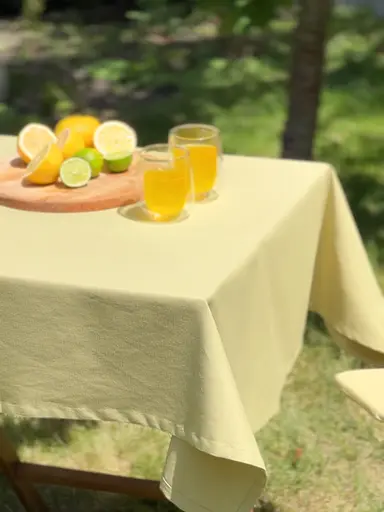 Водовідштовхувальна скатертина Оливковий однотон 400х180 см