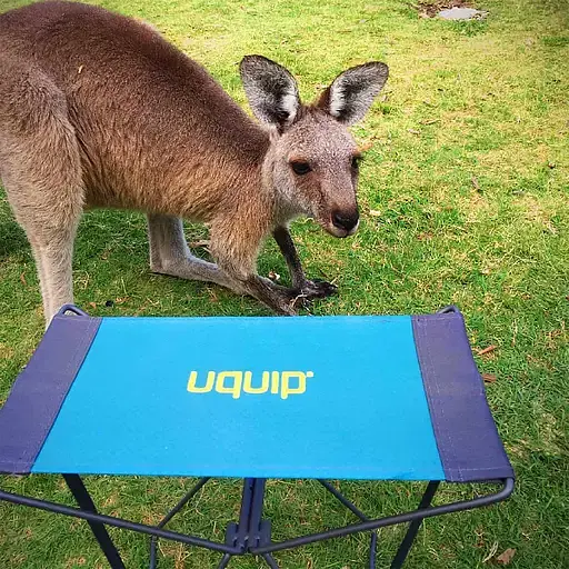 Табурет раскладной Uquip Fancy голубой с серым (244017) - фото 10