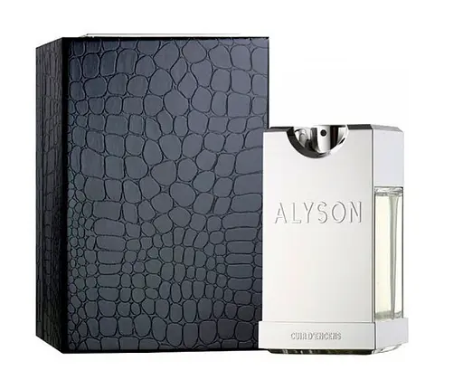 Оригинал Alyson Oldoini Cuir D'encens For Men 100 мл парфюмированная вода - фото 1