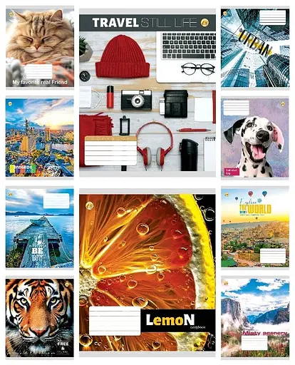 Зошити учнівські 36 аркушів клітинка Тверда ТЕ41401 МІКС КВ1, 20 шт. в упаковці