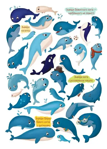 Знайди і покажи. Розваги для уваги - фото 2