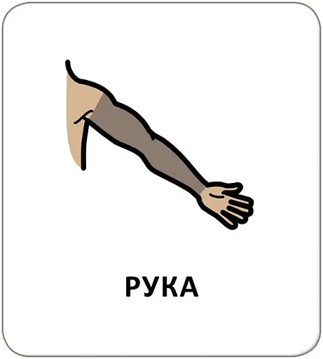 Картки з піктограмами. Гігієна. Моє тіло - фото 2