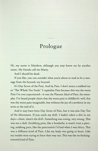 Friends, Lovers and the Big Terrible Thing - фото 8