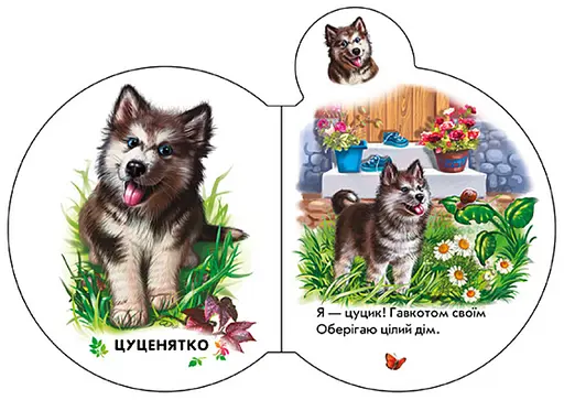 Книга Малята у селі + Аудіо-бонус. Автор - Ірина Сонечко (Ранок) - фото 2