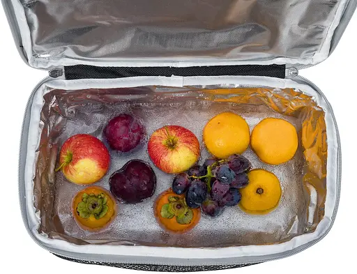 Термосумка для пікніка Crivit із жорстким дном 12L сіра tur0001267 - фото 4