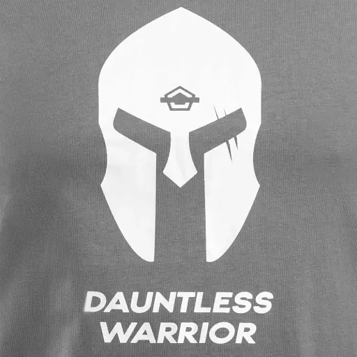 Футболка Pentagon Ageron T-Shirt Spartan Helmet L Wolf Grey - фото 3