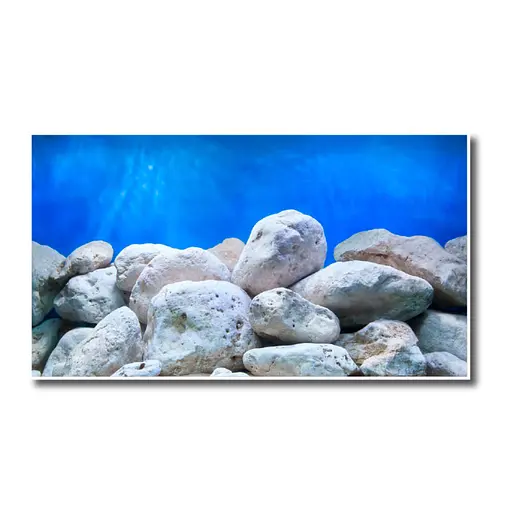 Фон двосторонній Amtra Adventure 60 см х 15 м (рулон) - фото 3