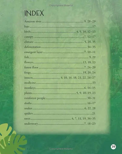 Oxford Reading Tree TreeTops inFact. Level 15: Rainforest Secrets - фото 7