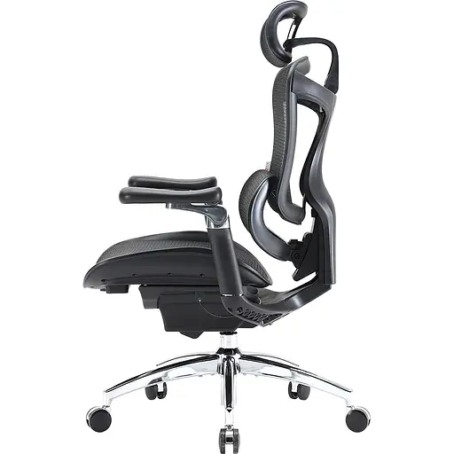 Крісло офісне Sihoo Doro C300 Pro Mesh Black (DORO-C300-PRO-M101) - фото 3