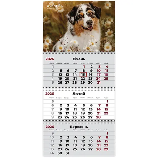Календарь настенный Axent Dogs 1 квартальный 2026 год (8803-26-16-A)