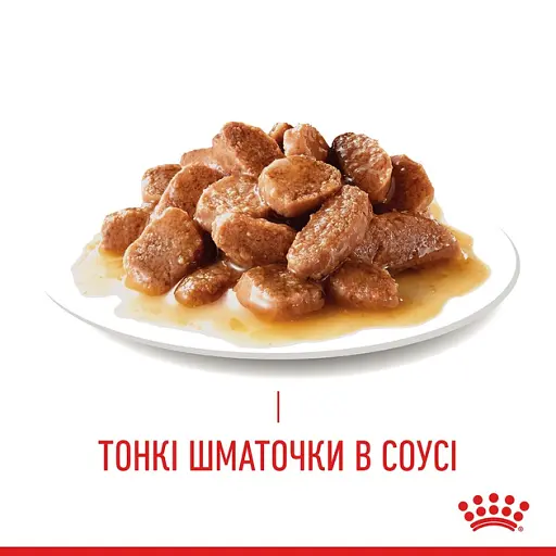 Вологий корм для кішок з чутливою шкірою і проблемною шерстю Royal Canin Intense Beauty, шматочки в соусі, 85 г - фото 5