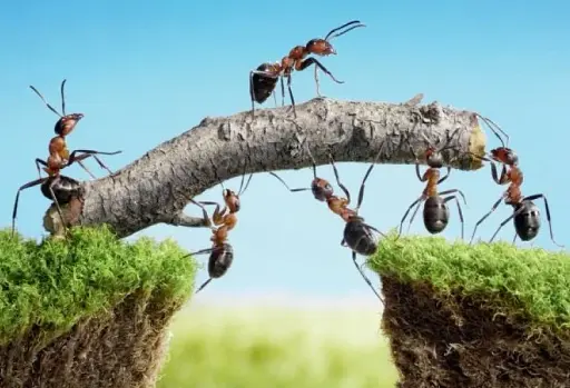 Мандрівка через хаос - фото 4