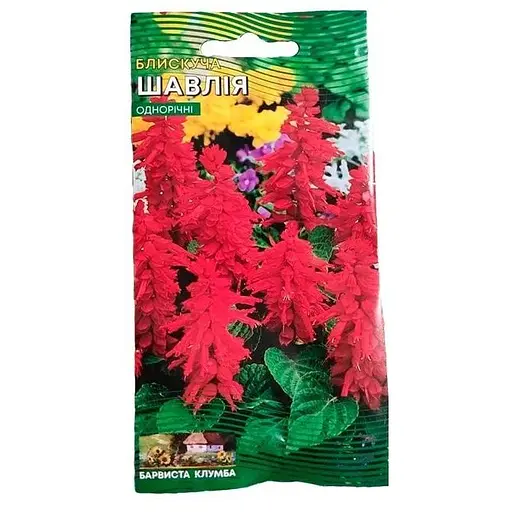 Сальвия блестящая Весна 0.1г (13069) - фото 1