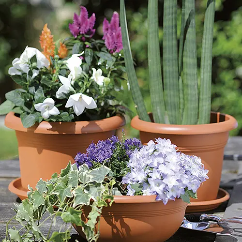 Піддон пластиковий Linea Mediterraneo, 33 см круглий, теракот (83330) - фото 3