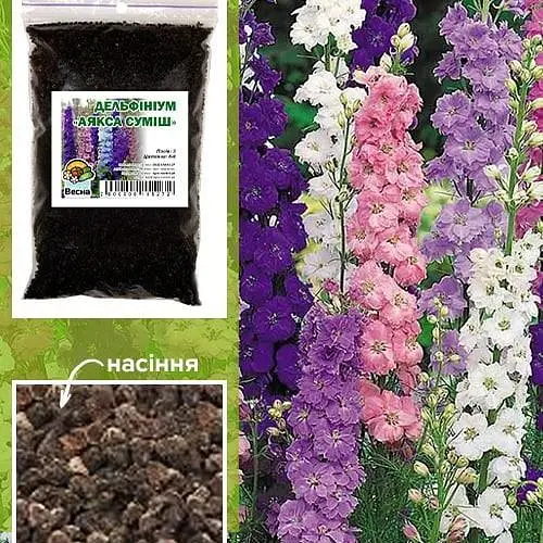 Дельфиниум "Аякса смесь" Весна 100г (35257) - фото 3