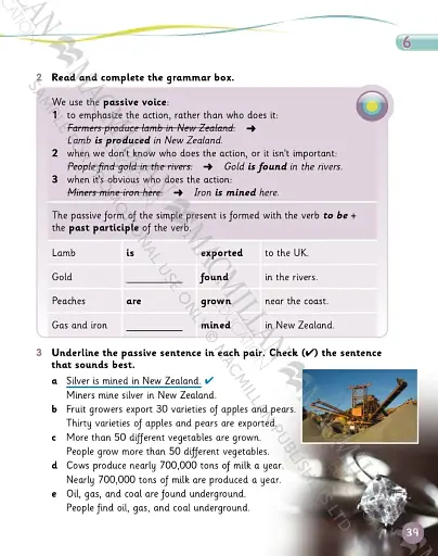 Grammar Goals. Level 5. Student's Book & CD Rom. American Edition - фото 3