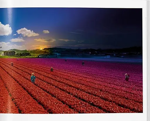 Stephen Wilkes. Day to Night - фото 11