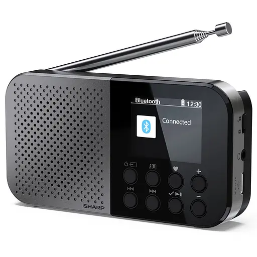 Радиоприемник Sharp DR-P520 Storm Grey