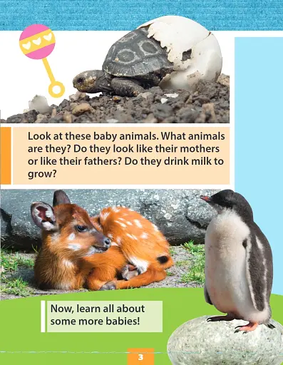 Baby Animals - фото 3