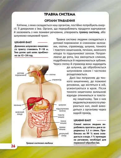 Світ навколо нас. Тіло людини - фото 7
