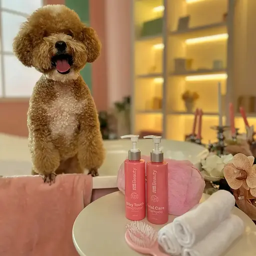 Кондиционер Home Food Beauty Шелковистое прикосновение для собак и кошек 200 мл - фото 6