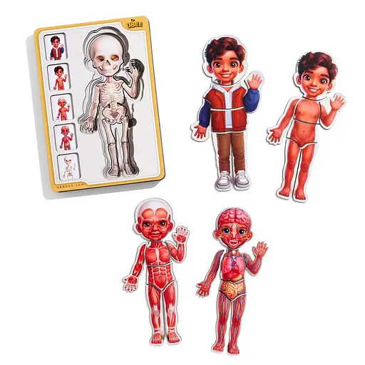 Деревяний пазл-вкладиш Анатомія людини - хлопчик-2 (ПСД261) PSD261 будова тіла