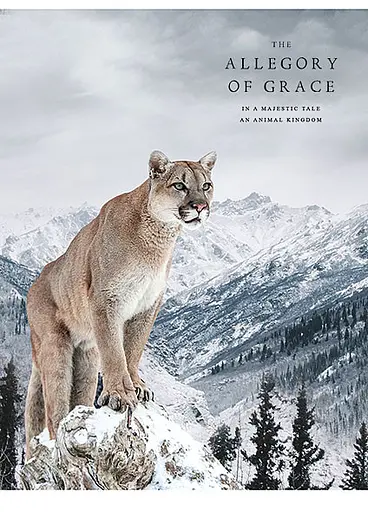 Комплект 4 шт загальних зошитів. Зошит Школярик А5 48 арк. у лінію 5072 4823088219197 - фото 4