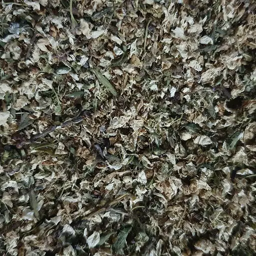 100 г терен/терн дика слива цвіт сушений - свіжий урожай