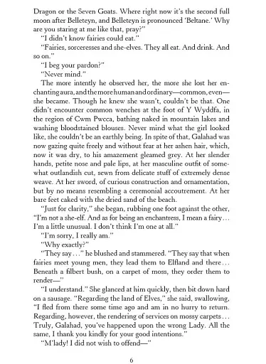 The Lady of the Lake. The Witcher Book 5 - фото 7