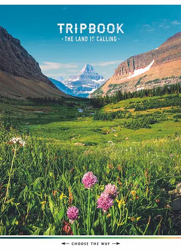 Комплект 4 шт общих тетрадей. Тетрадь Школярик А5 80 л. в линию 5073 4823088219326 - фото 5