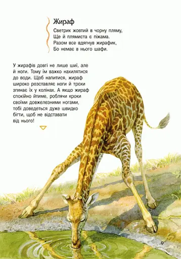 Детская энциклопедия про животных 614005 для дошкольников - фото 9
