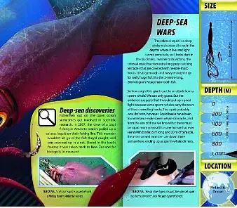 iExplore. Ocean Monsters - фото 4