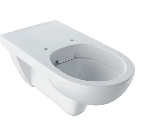 Унитаз подвесной Geberit Selnova Comfort 501.046.00.7, Белый - фото 1