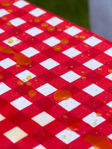 Водоотталкивающая Скатерть Красная клетка 220х140 см (+ 4 салфетки 30х40) - фото 6