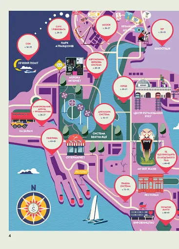 Крутезна інфографіка : Анатомія - фото 4